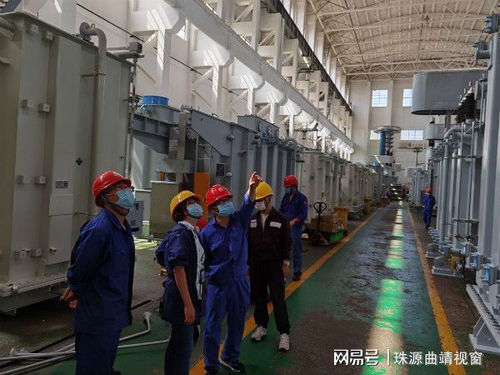 云南電力科學(xué)研究院配電學(xué)員到變壓器廠交流學(xué)習(xí)