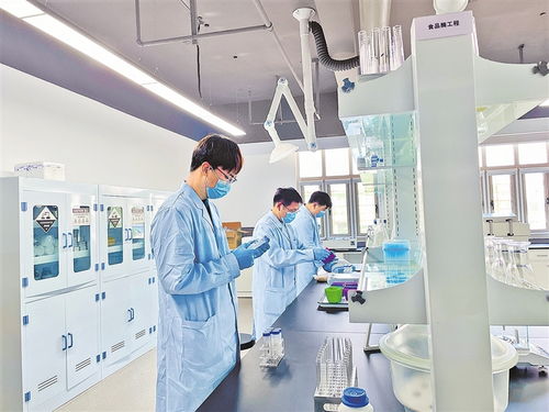 120家企業(yè) 5545個崗位 河南這場食品領(lǐng)域?qū)鋈瞬耪衅钢档闷诖? />
</span>
<span id=