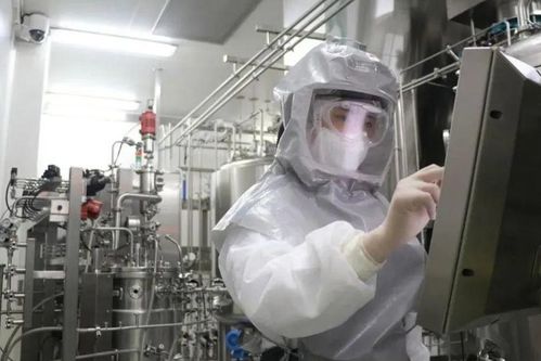 國產疫苗開始發力,生產車間加班加點,預計年產1.2億劑