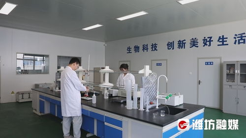 穩(wěn)扎穩(wěn)打有干頭 濰坊昌樂(lè) 創(chuàng)新驅(qū)動(dòng)助力企業(yè)拓市場(chǎng)