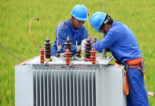 紹興嵊州供電公司 精品臺(tái)區(qū) 可靠電網(wǎng)護(hù)航美麗 越劇原鄉(xiāng) 建設(shè)