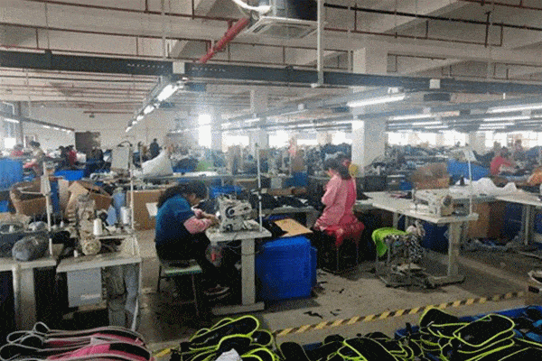 鹽城篇 在鄉(xiāng)村振興中煥發(fā)巾幗新動(dòng)能