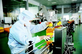 菜籽油生產線場景